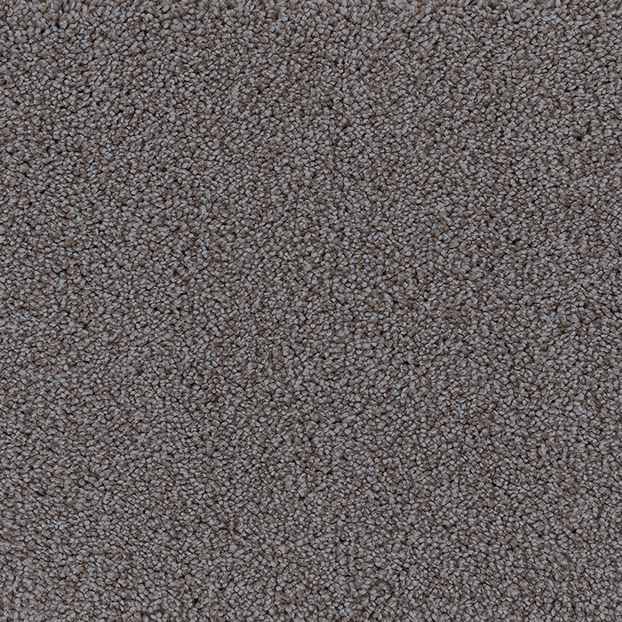 soft spot supreme shoes